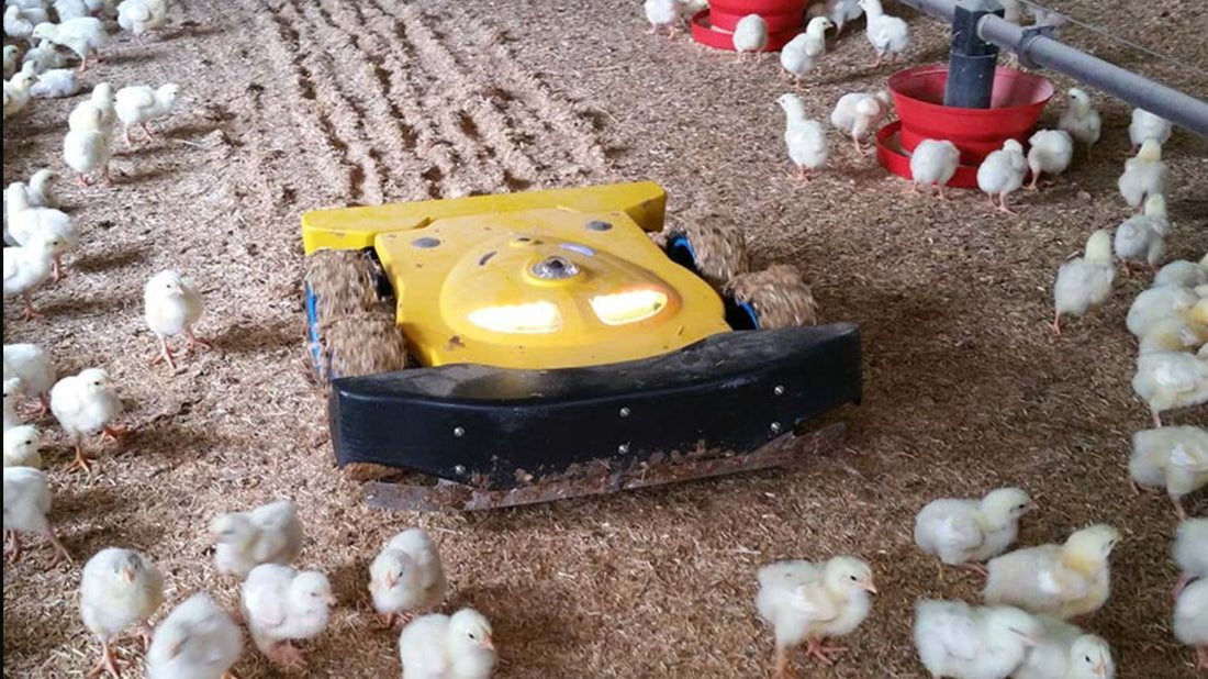Innovative Poultry Equipment: Transforming the Industry