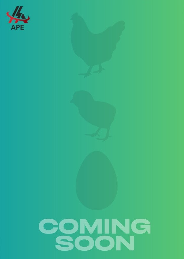 Chickens, Day Old Chicks, Fertile Eggs