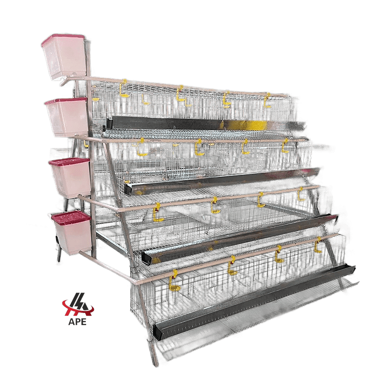 4 Tier Layer Chicken Battery Cages 128, 256, 384, 512, 640
