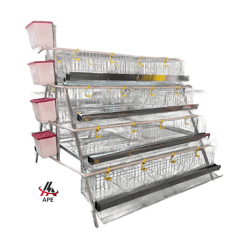 4 Tier Layer Chicken Battery Cages 128, 256, 384, 512, 640 African