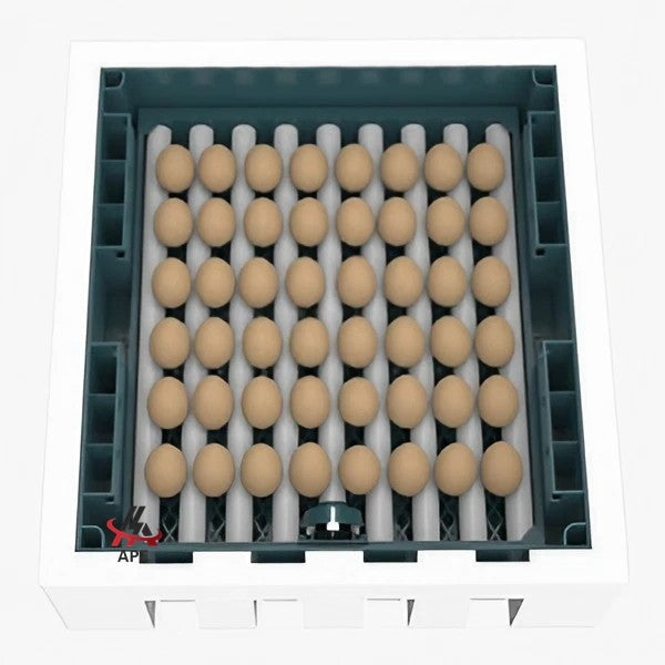 Egg Incubator and Hatcher - Automatic