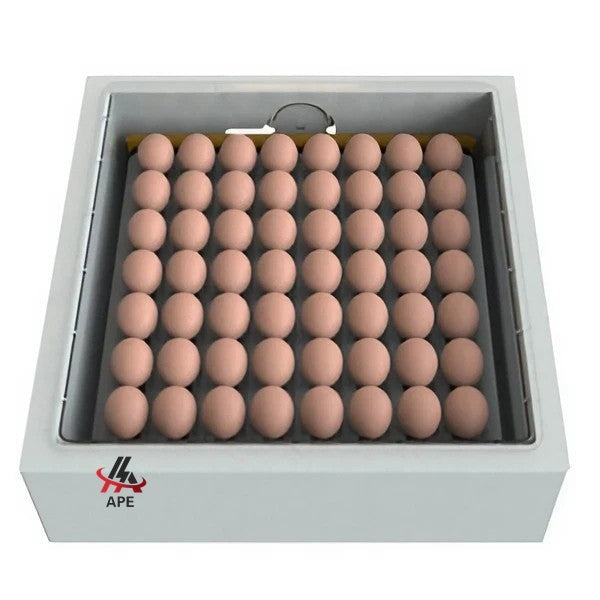 Egg Incubator and Hatcher Small - Automatic